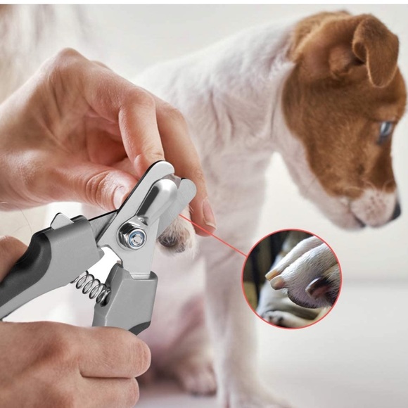 New Nail Trimmer for Medium and Large Breed of Dogs Clipper with Safety Guard - Picture 4 of 6